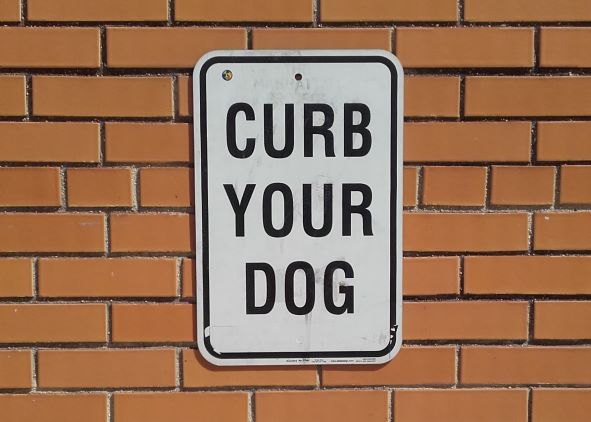 a street sign reminding people to curn their dogs