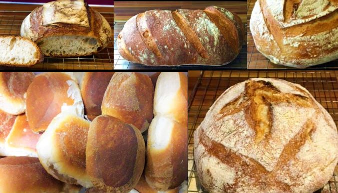 collage of loaves of bread